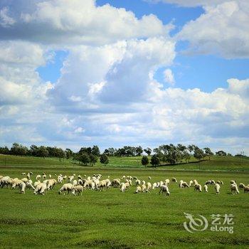 张北草原天路安娜农家庄园酒店提供图片