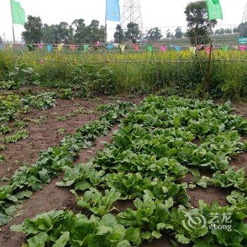 张北草原天路丰谷人家酒店提供图片