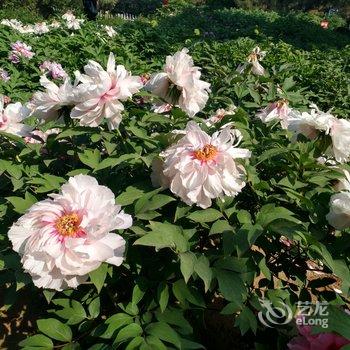 北戴河东方快捷宾馆酒店提供图片