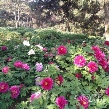 北戴河东方快捷宾馆酒店提供图片