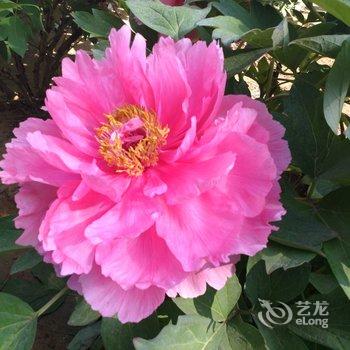 北戴河东方快捷宾馆酒店提供图片