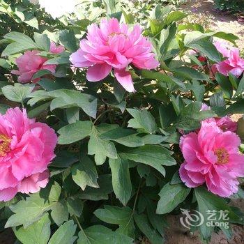 北戴河东方快捷宾馆酒店提供图片