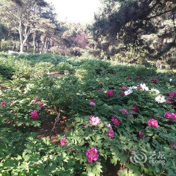 北戴河东方快捷宾馆酒店提供图片