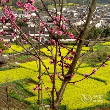 西递甜缘客栈酒店提供图片