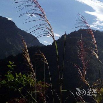 仙居西坡山民宿酒店提供图片