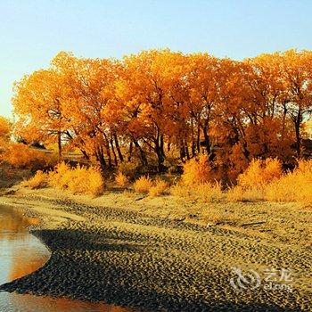 敦煌锦绣大地生态园自驾车营地酒店提供图片