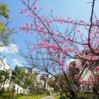 世界家度假公寓(武隆仙女山店)酒店提供图片