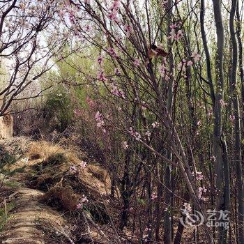 嘉峪关幸福一家人旅馆酒店提供图片