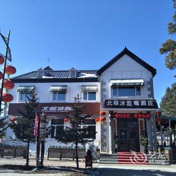 漠河县北极冰蓝莓酒庄(北极村分店)酒店提供图片