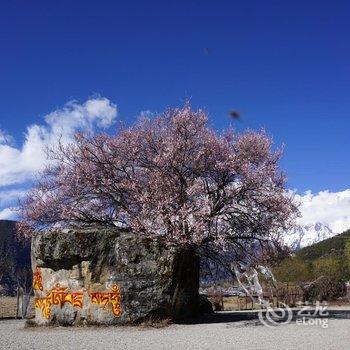 林芝大峡谷桃源雪峰客栈酒店提供图片