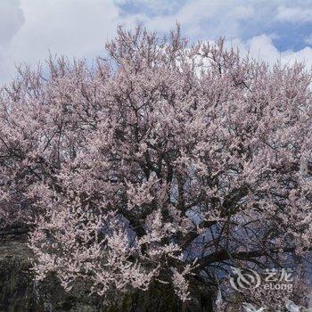 林芝大峡谷桃源雪峰客栈酒店提供图片