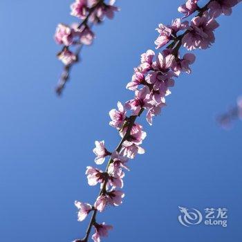 林芝大峡谷桃源雪峰客栈酒店提供图片