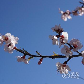 林芝大峡谷桃源雪峰客栈酒店提供图片