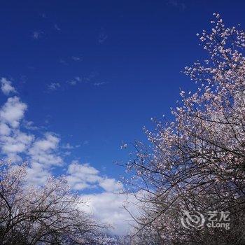 林芝大峡谷桃源雪峰客栈酒店提供图片