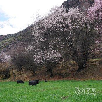 林芝大峡谷桃源雪峰客栈酒店提供图片