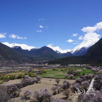 林芝大峡谷桃源雪峰客栈酒店提供图片