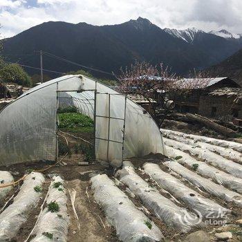 林芝大峡谷桃源雪峰客栈酒店提供图片