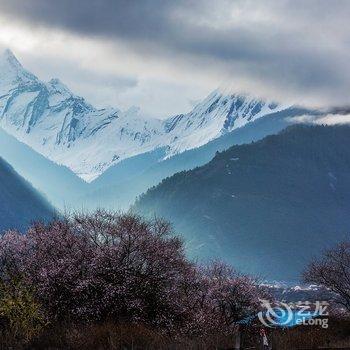 林芝大峡谷桃源雪峰客栈酒店提供图片