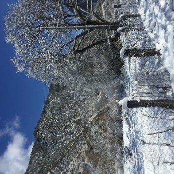 林芝大峡谷桃源雪峰客栈酒店提供图片