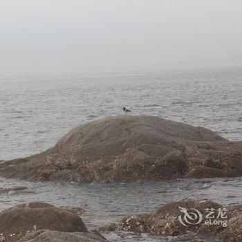 葫芦岛菊花岛金色海岸宾馆酒店提供图片