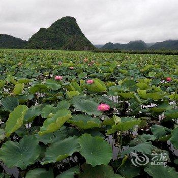 普者黑闲庭院民宿酒店提供图片