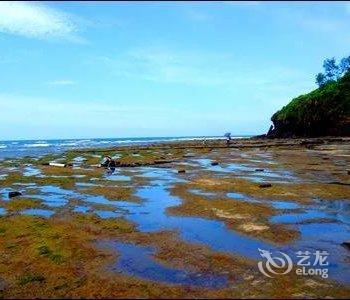 北海涠洲岛凡巢客栈酒店提供图片