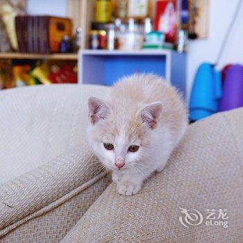 拉萨一然猫栈酒店提供图片