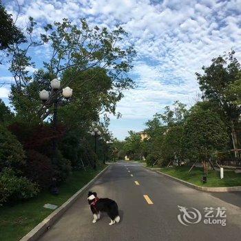 恒海之旅酒店(启东恒大威尼斯店)酒店提供图片