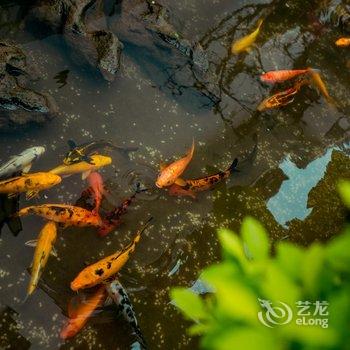 桂林水云居度假别墅酒店酒店提供图片