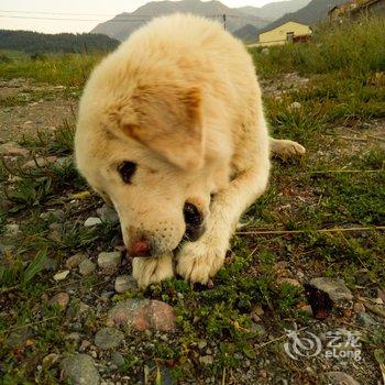 祁连玉鹏农家客栈酒店提供图片