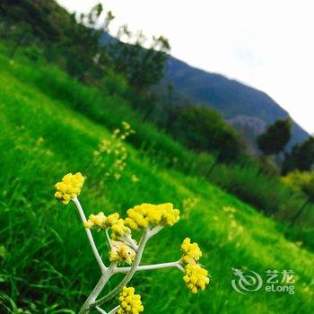 泸沽湖兮玥湿地景观酒店酒店提供图片