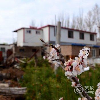 嘉峪关阳关故人青年旅舍酒店提供图片