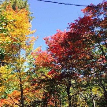 长白山向阳花开青旅酒店提供图片