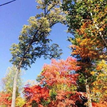 长白山向阳花开青旅酒店提供图片