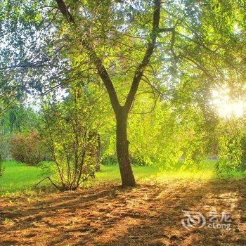 长白山向阳花开青旅酒店提供图片