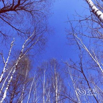 长白山向阳花开青旅酒店提供图片