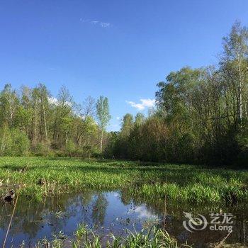 长白山向阳花开青旅酒店提供图片