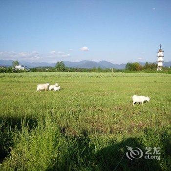 黄山黟县碧山碧云古村客栈酒店提供图片