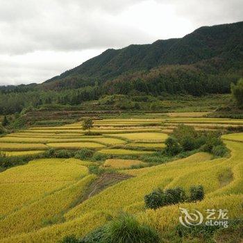 黄山黟县碧山碧云古村客栈酒店提供图片