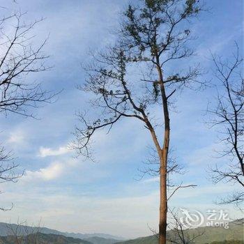 景德镇青玉山坞·民宿酒店提供图片