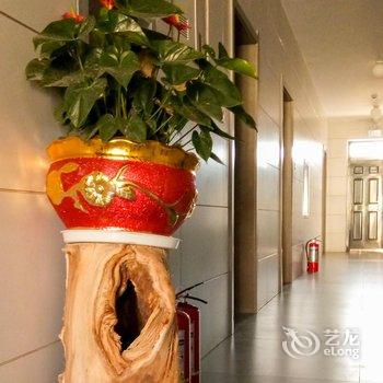 临泽天宇之家游多多客栈酒店提供图片