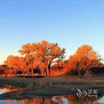 额济纳旗龙顺宾馆酒店提供图片