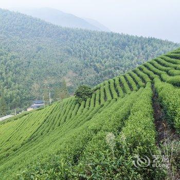 莫干山原舍依田客栈酒店提供图片