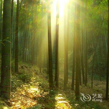 莫干山清石屋山庄酒店提供图片