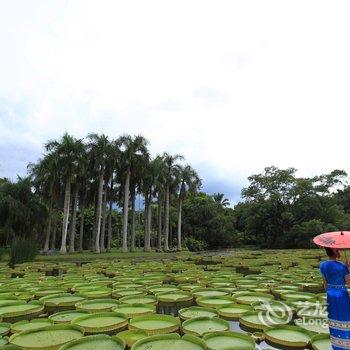 西双版纳王莲酒店酒店提供图片