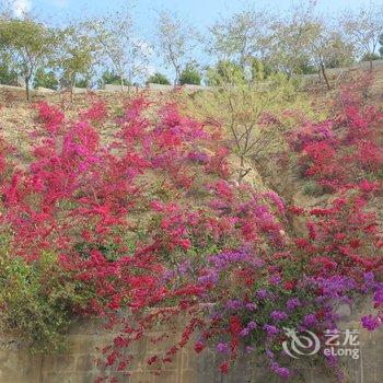 攀枝花市西蜀阳光花园大酒店酒店提供图片