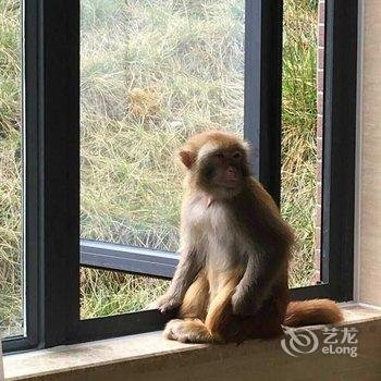 锦城观海宾馆酒店提供图片