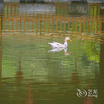 丽水天师楼·岑庄酒店提供图片