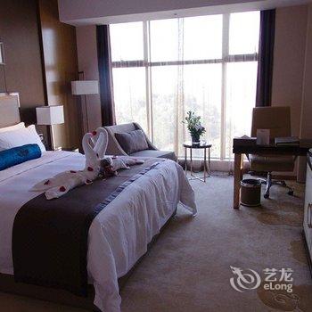 兴义国龙雅阁大酒店酒店提供图片