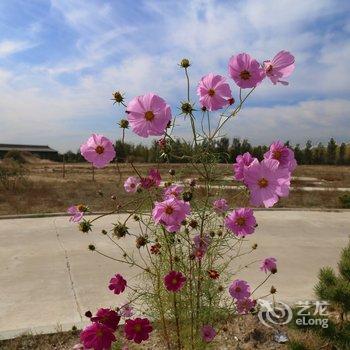 通辽孝庄园王府山庄酒店提供图片